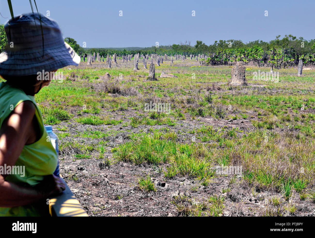 Frau touristische Blick auf die Magnetic Termite Mounds, Amitermes Meridionalis, Lichfield National Park, Northern Territory, Australien Stockfoto