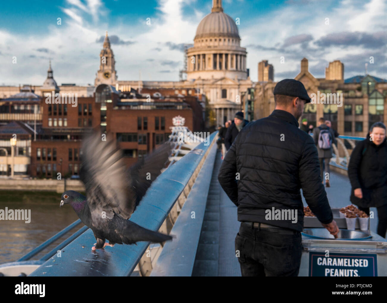 Menschen und Taube auf Millennium Bridge mit St. Paul's Kathedrale im Hintergrund. Stockfoto