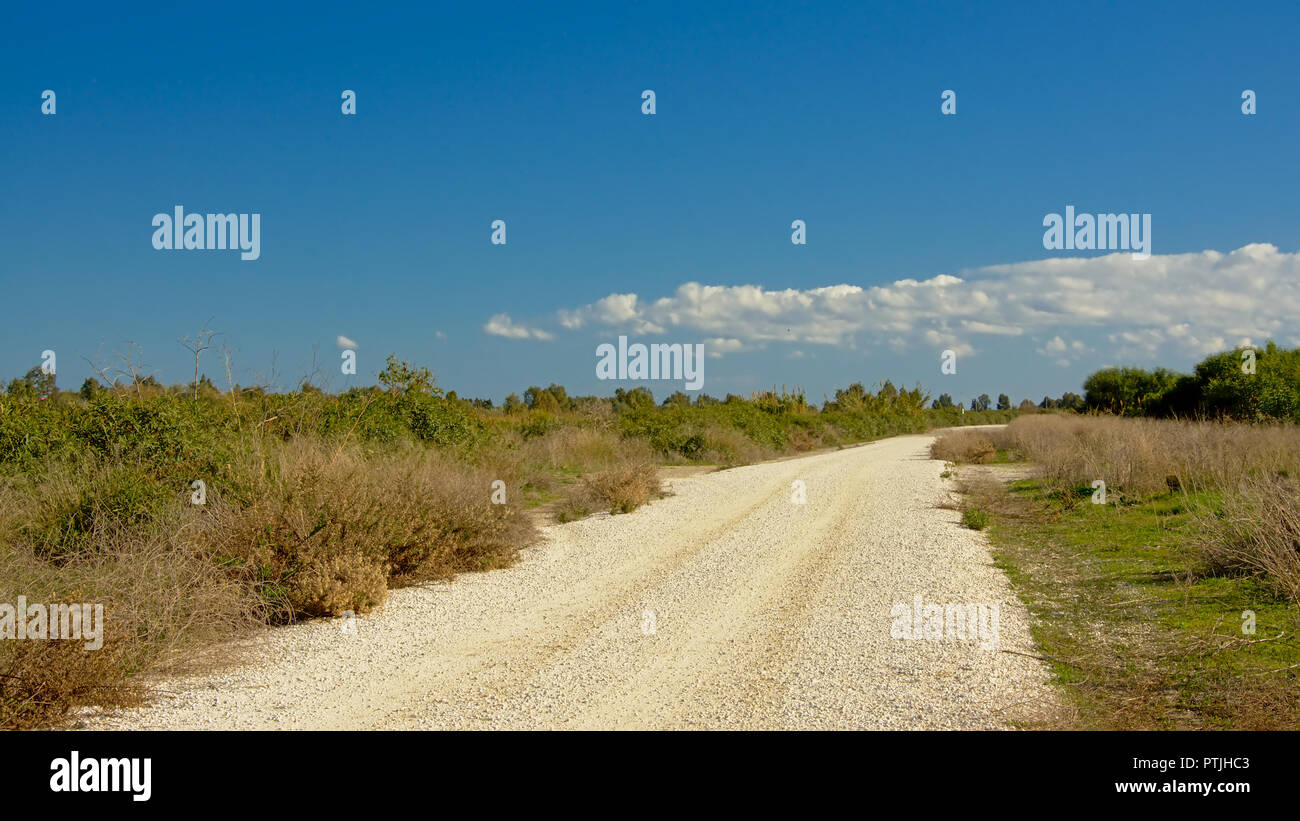 'Grand Route" Fahrrad- und Fußgängerweg durch die Mündung des Flusses Guadalhorce Naturschutzgebiet, Malaga, Spanien Stockfoto