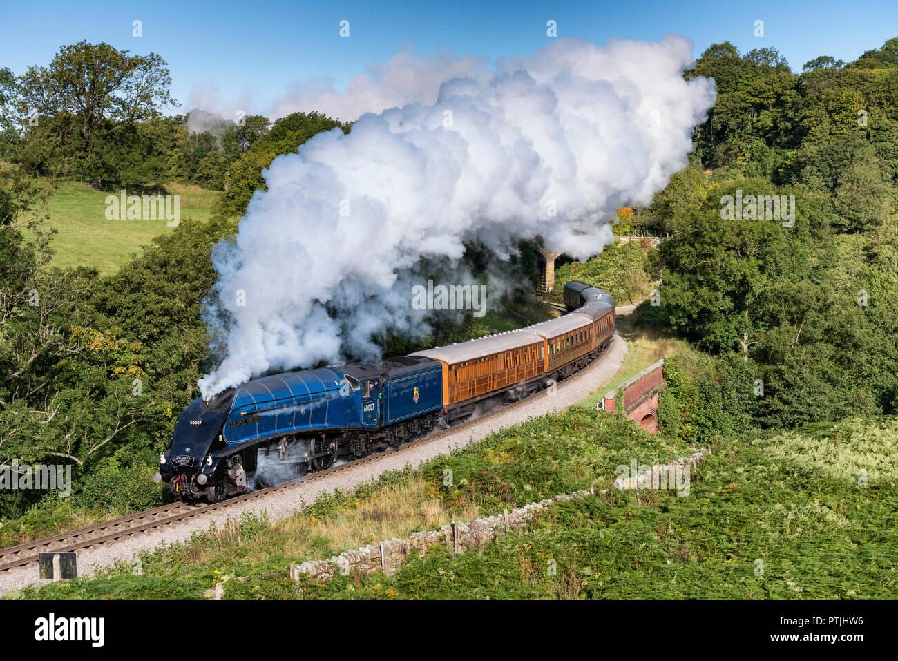 Die Sir Nigel Gresley Lokomotive bei Darnholme in der Nähe von Goathland. Stockfoto