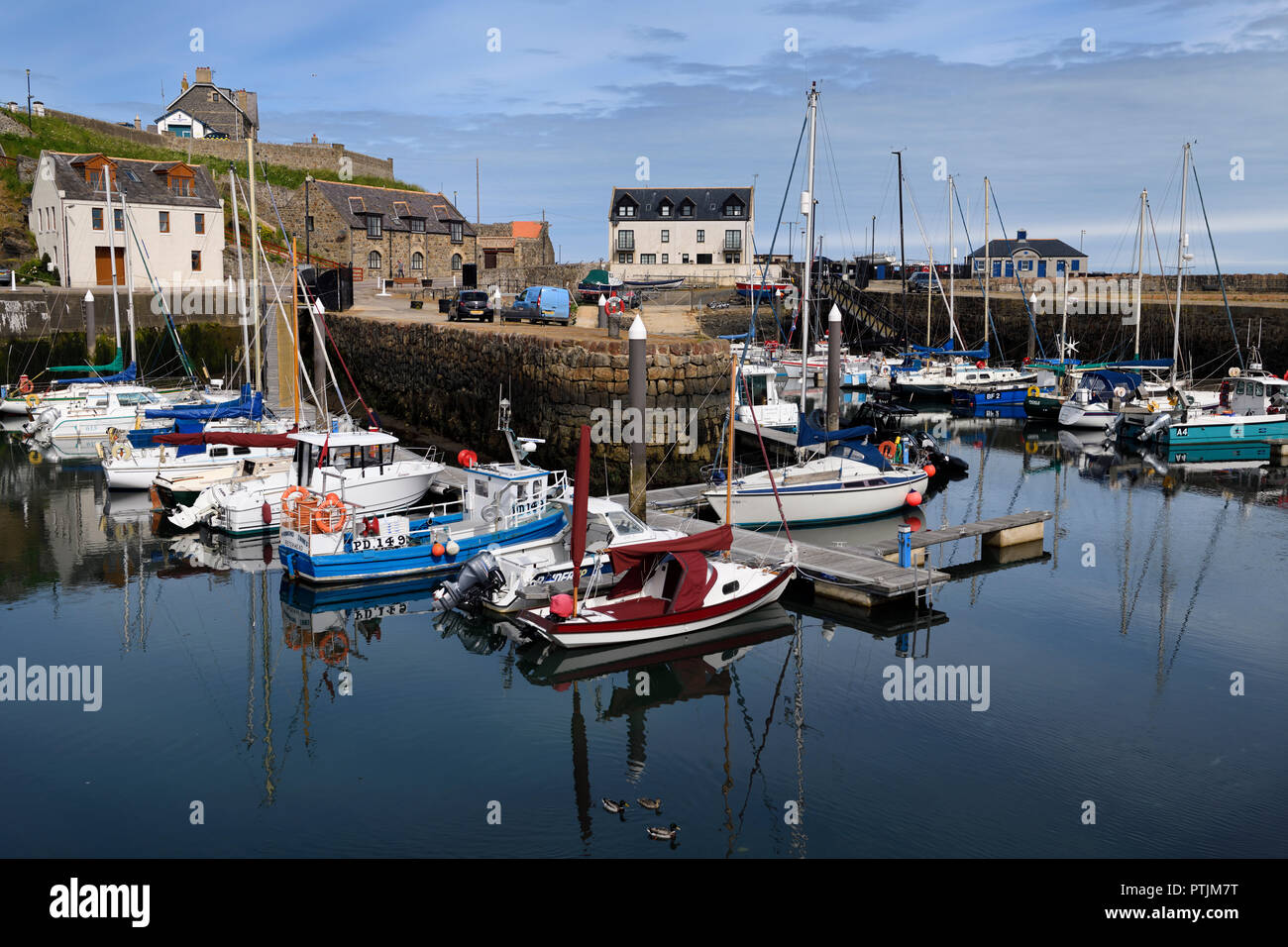 Morgen im Banff Harbour Marina mit angedockten Schiffen und Segelbooten auf Banff Bay Moray Firth Aberdeenshire Schottland Großbritannien Stockfoto