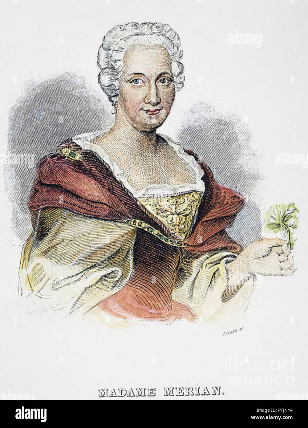 MARIA SIBYLLA MERIAN (1647-1717), deutscher Naturforscher und Illustrator Stockfoto