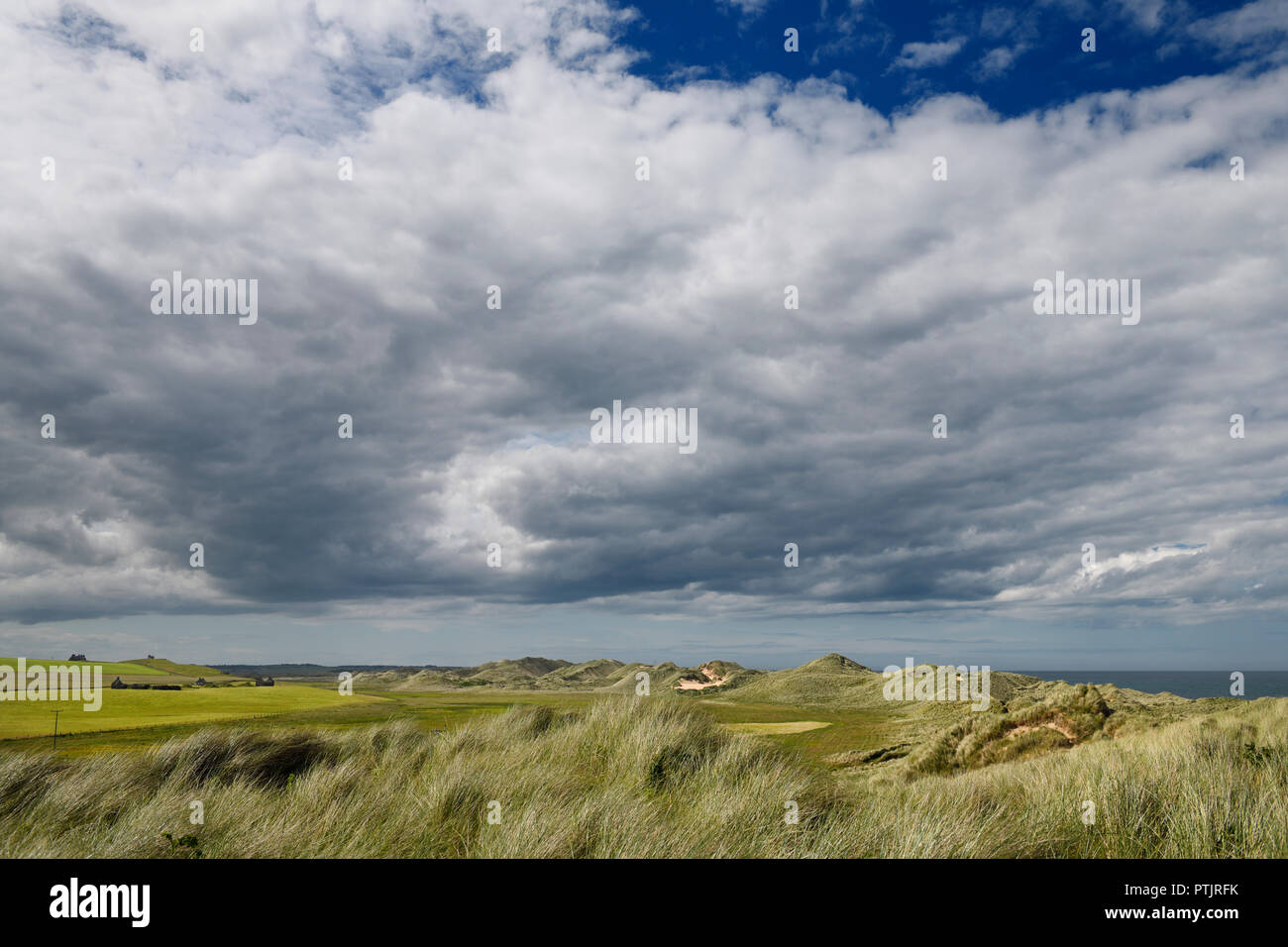 Gras bedeckt Sand Dünen bei Rattray Head an der Nordsee Seatown Buchan Aberdeenshire Schottland Großbritannien mit Pillbox Ruinen alten Rattray Stockfoto