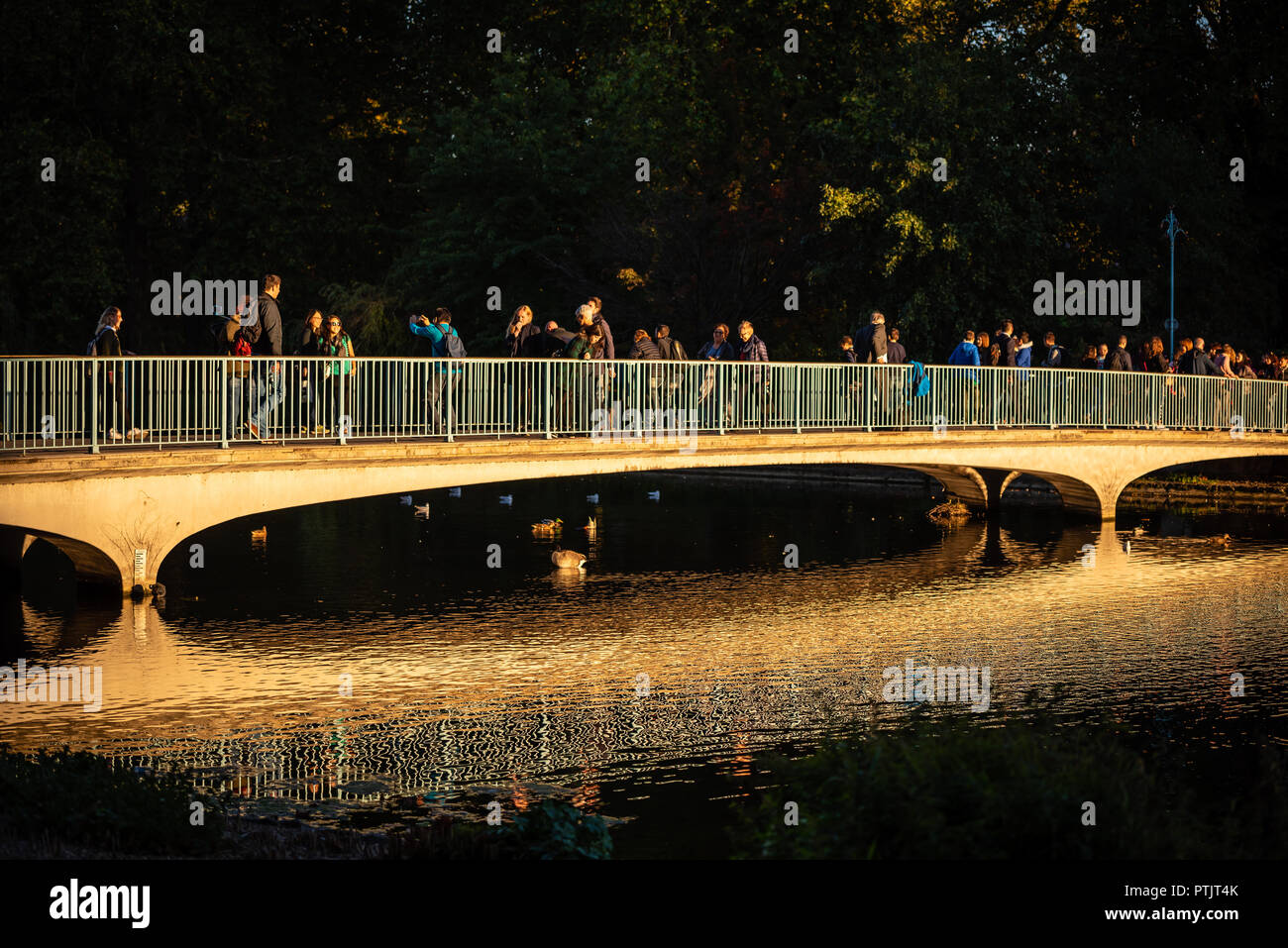Brücke in St. James Park, London Stockfoto