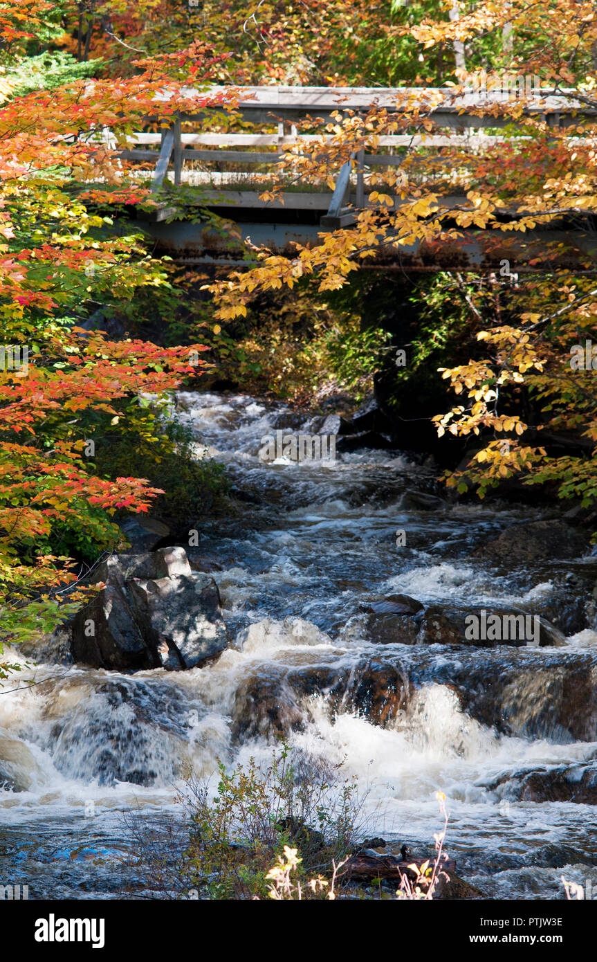 Wasserfall Herbst Landschaft Landschaft mit bunten Natur Bäume Szene mit einer Brücke, Hintergrund- und mehrfarbige Blätter. Schönen Herbst. Stockfoto