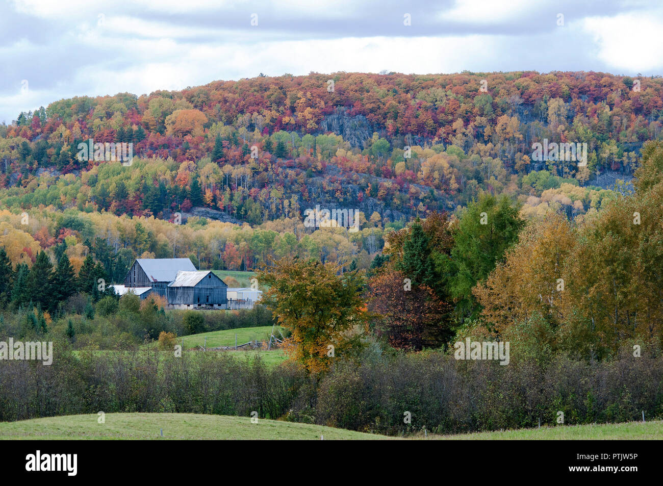 Herbst Landschaft seine bunten Jahreszeit zeigt eine Farm. Stockfoto