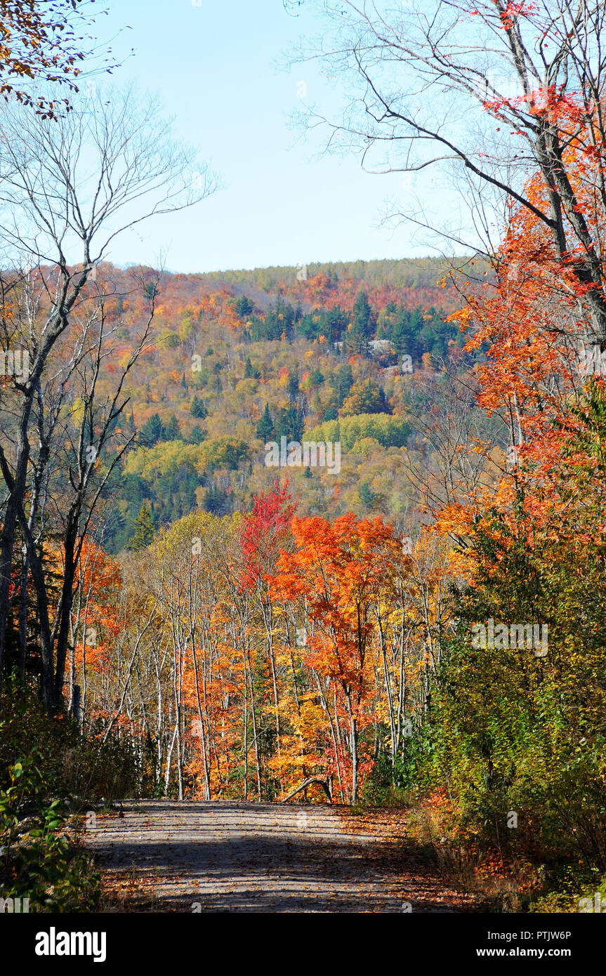 Herbst Landschaft seine bunten Jahreszeit. Stockfoto