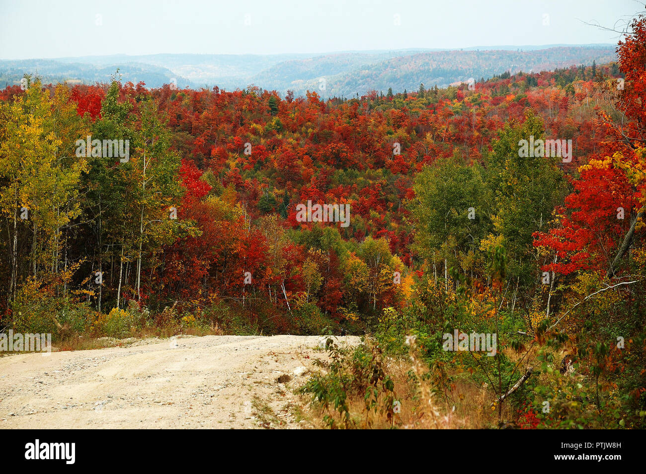 Herbst Landschaft Natur Szene. Stockfoto