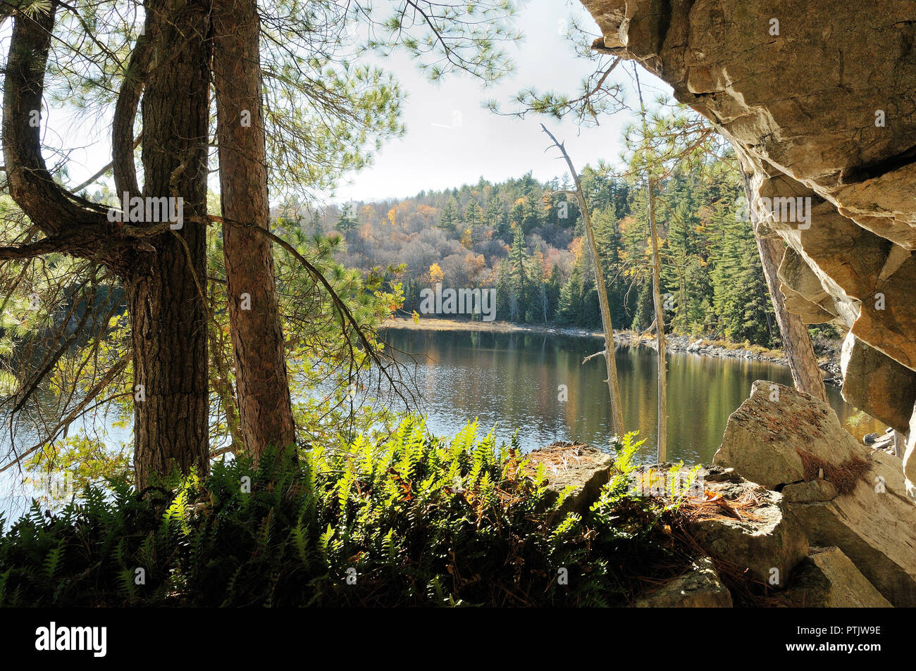 Herbst Landschaft Natur Szene. Herbst Landschaft Landschaft mit bunten Natur Szene mit einem See, Laub, Bäume, Felsen im Vordergrund. Stockfoto