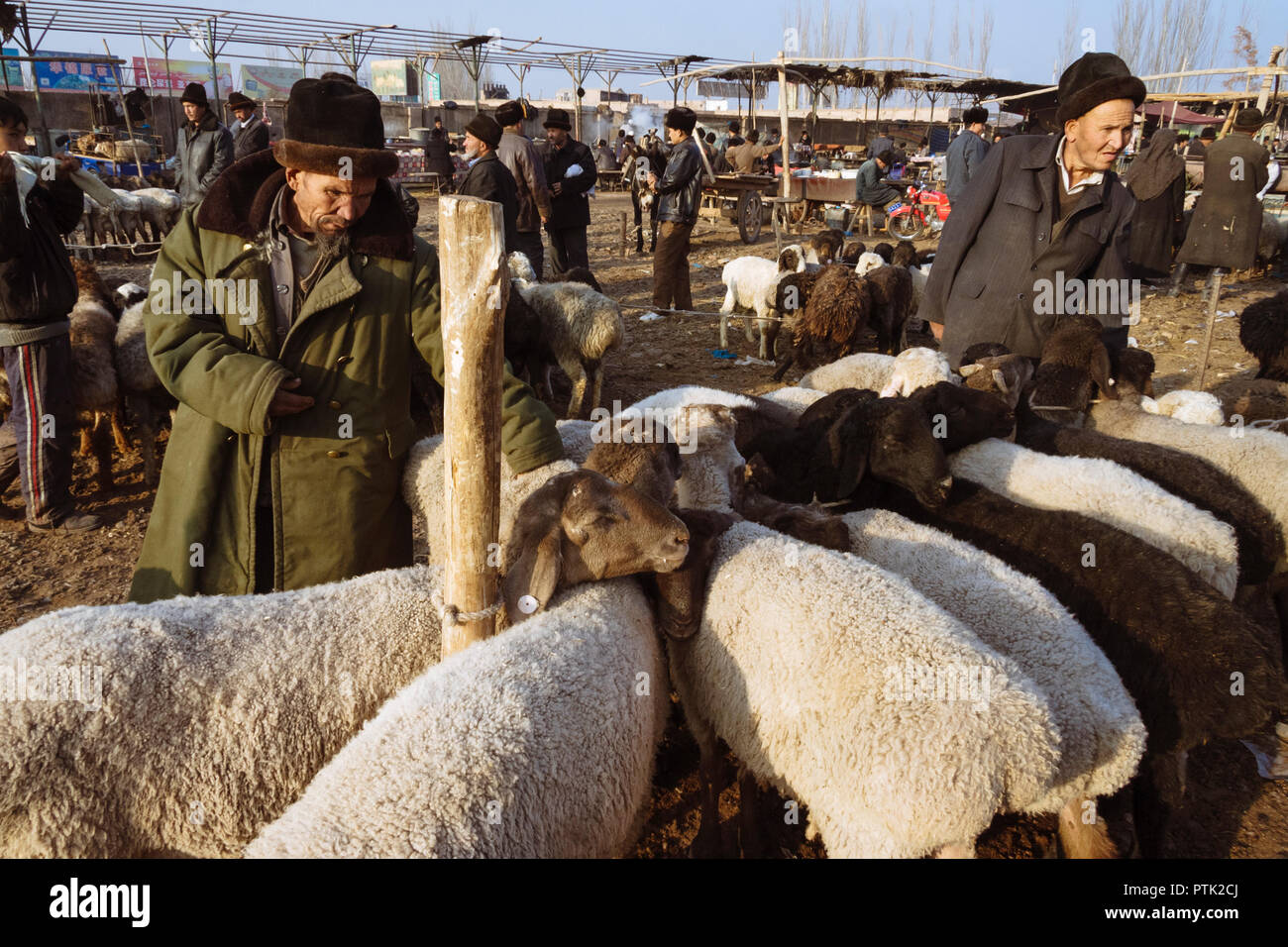 Kashgar, Xinjiang, China: Uiguren Männer kaufen und Schafe bei Mal Basar, der grand Sonntag Viehmarkt von Kashgar zu verkaufen. Stockfoto