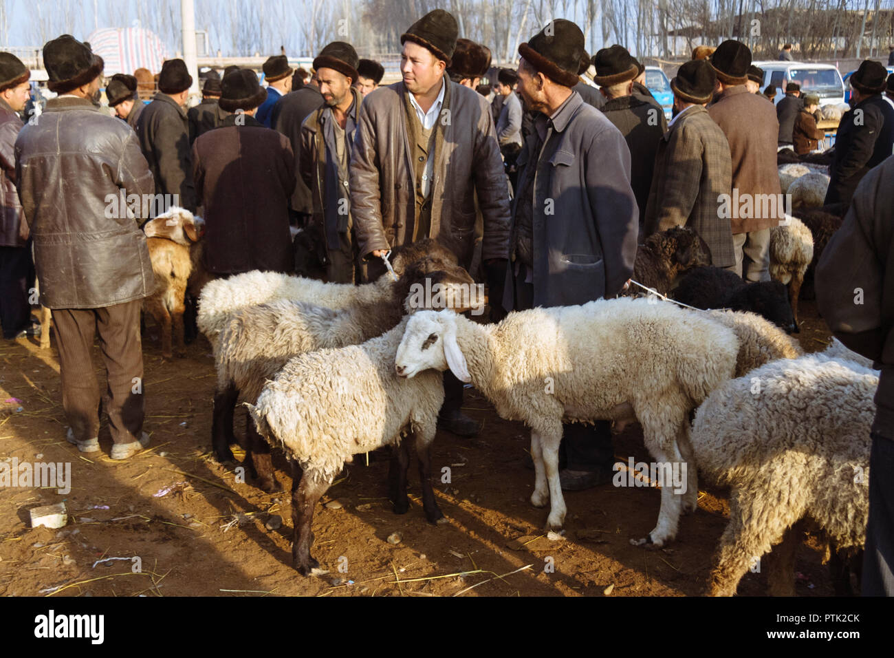 Kashgar, Xinjiang, China: Uiguren Männer kaufen und Schafe bei Mal Basar, der grand Sonntag Viehmarkt von Kashgar zu verkaufen. Stockfoto