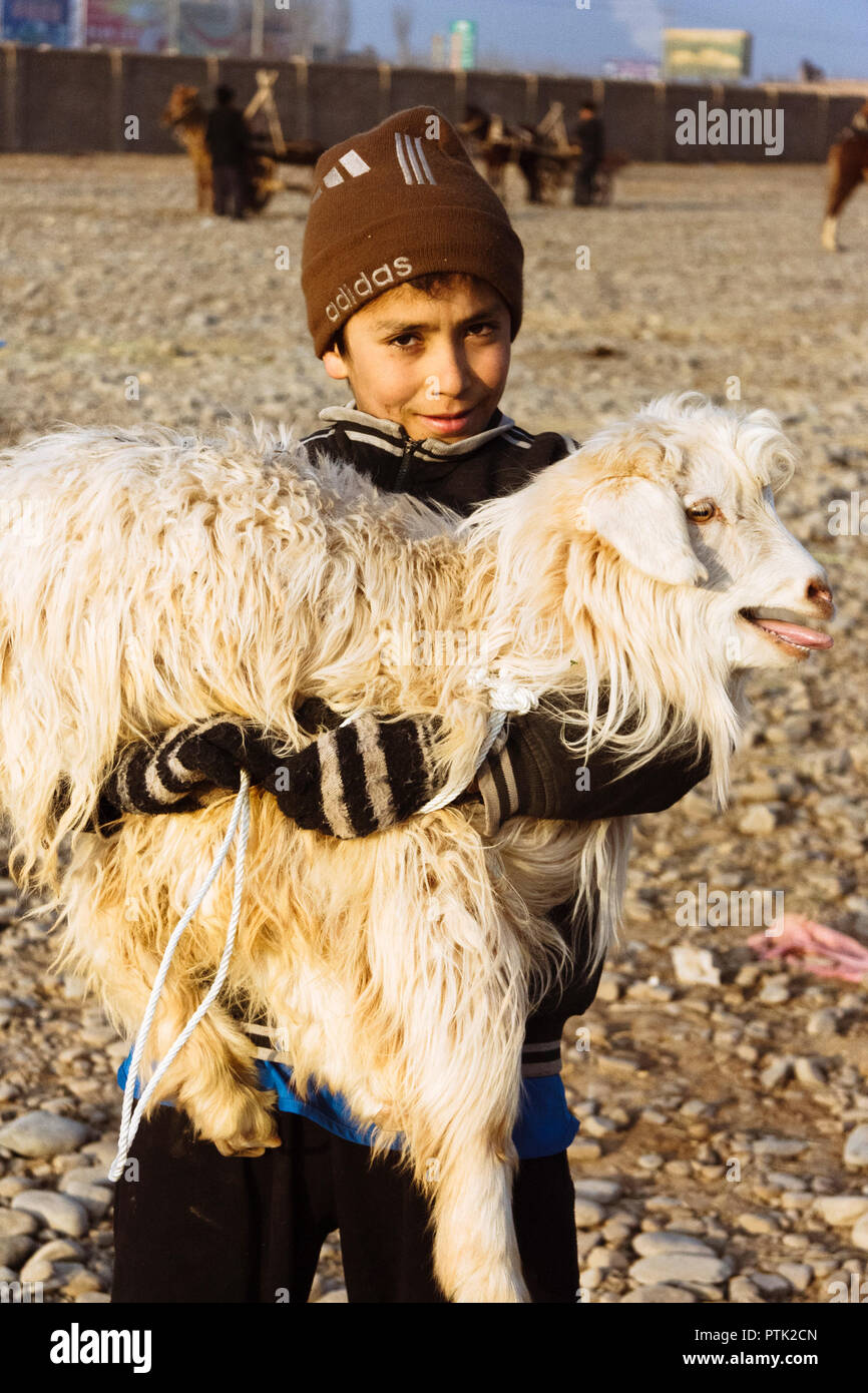 Kashgar, Xinjiang, China: Uiguren Junge hält ein Schaf in seine Arme bei Mal Basar, der grand Sonntag Viehmarkt von Kashgar. Stockfoto