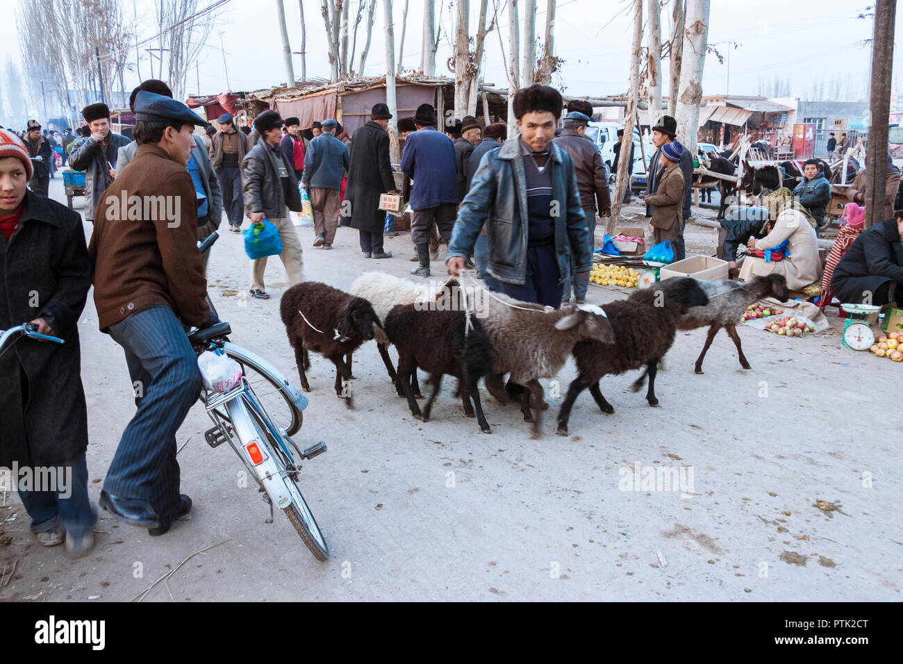 Kashgar, Xinjiang, China: Uiguren Mann führt eine kleine Herde von Schafen durch Mals Basar, der grand Sonntag Viehmarkt von Kashgar. Stockfoto