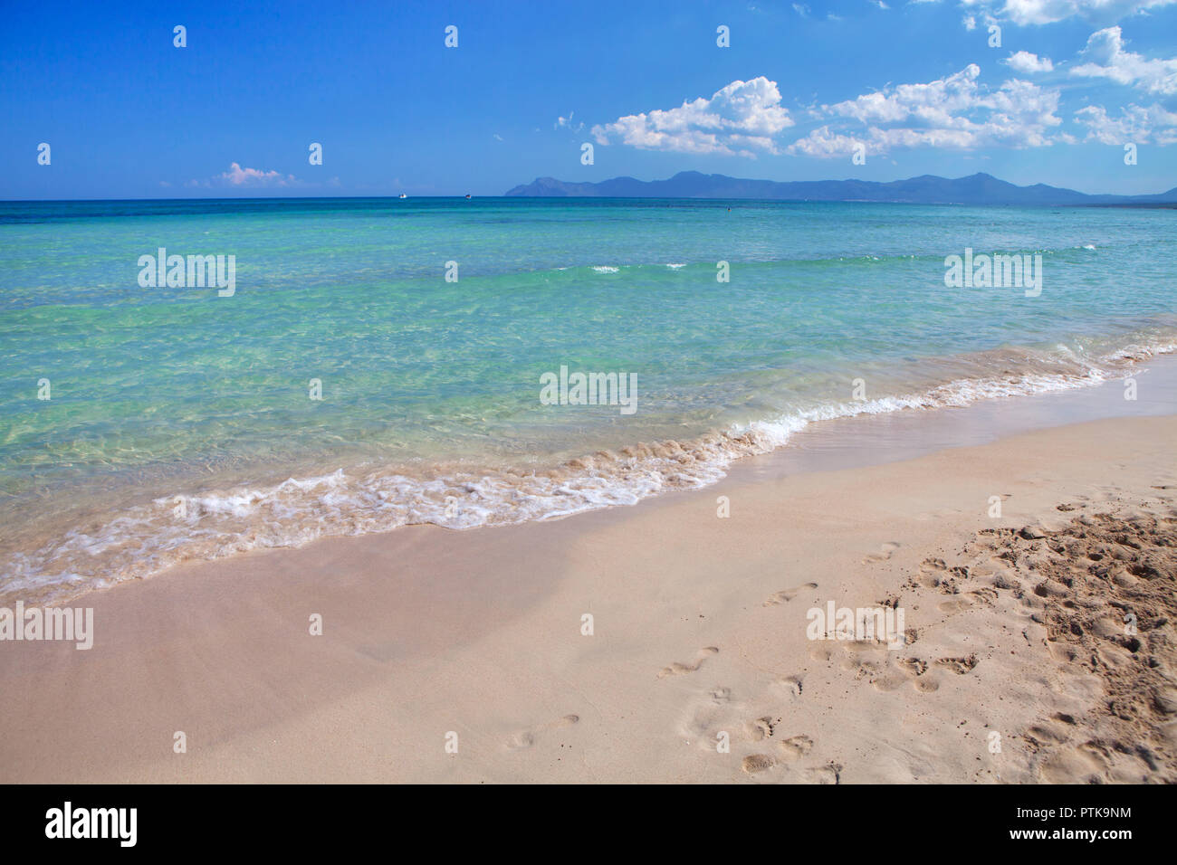 Playa de Muro, schönen Sandstrand in Mallorca, Spanien Stockfoto