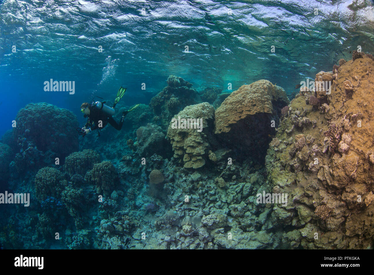 Weibliche Scuba Diver erforscht Blue lagoon Innenstruktur widerspiegelt, Farben der Korallen im Roten Meer. Stockfoto