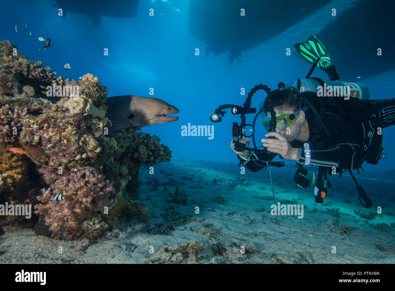 Weibliche Scuba Diver und video Fotograf Ansätze Muränen in Coral Reef unter Tauchboote. Rotes Meer, Ägypten, September, 2018 Stockfoto