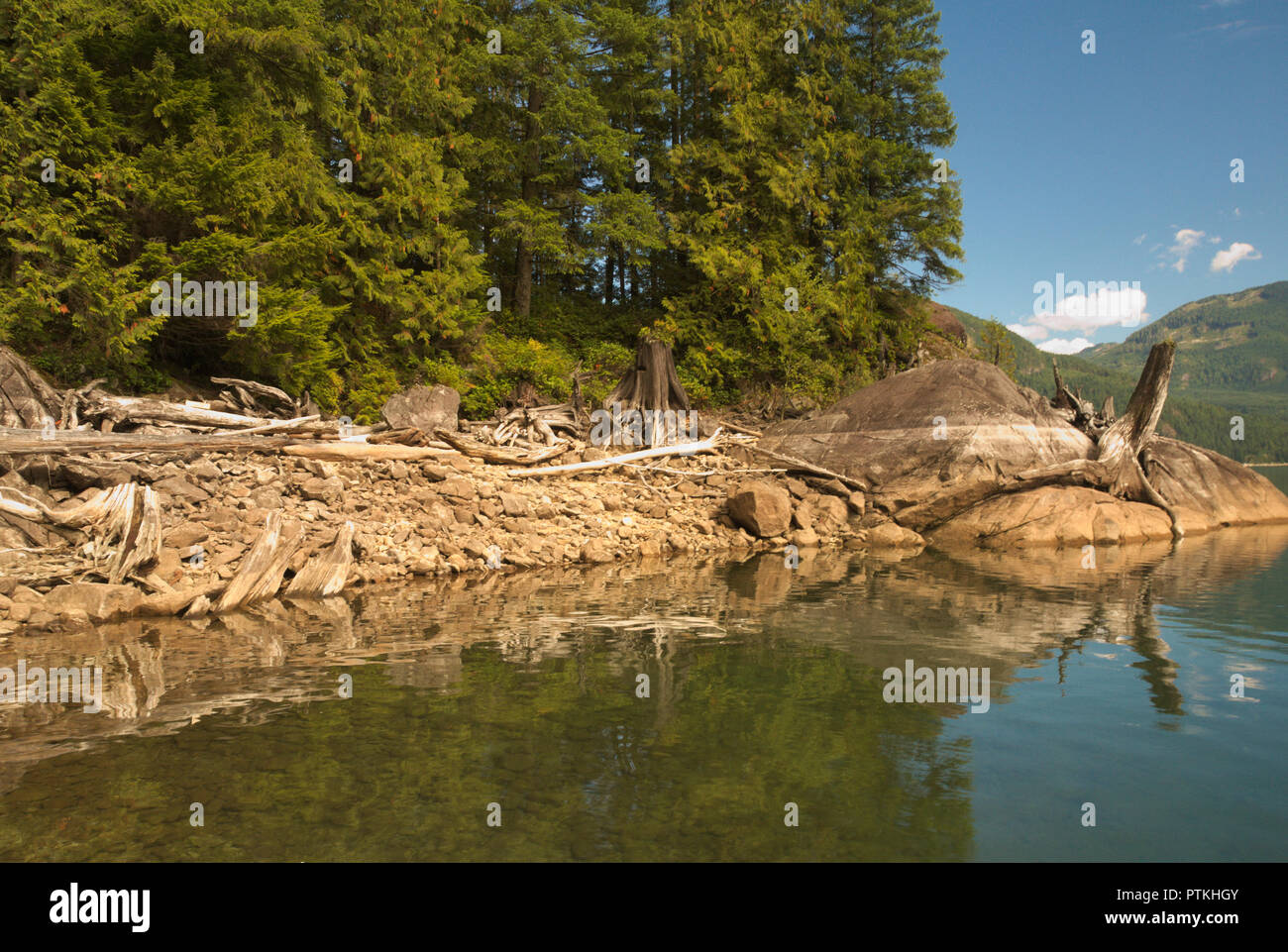 Driftwood verließ den Felsen am Stave Lake in Mission, British Columbia, Kanada Stockfoto