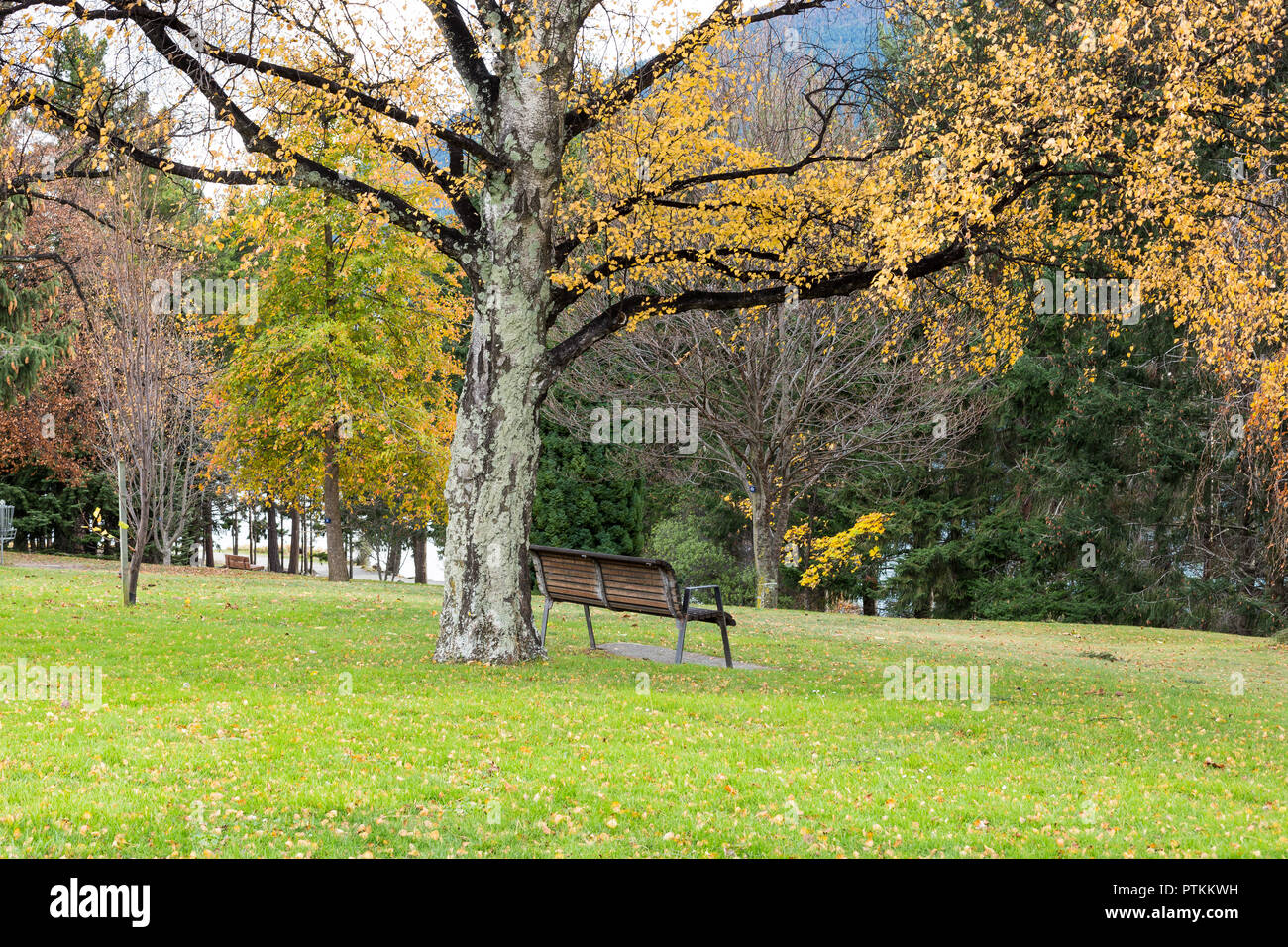 Leeren Parkbank, Herbst, Queenstown Gardens NZ Stockfoto