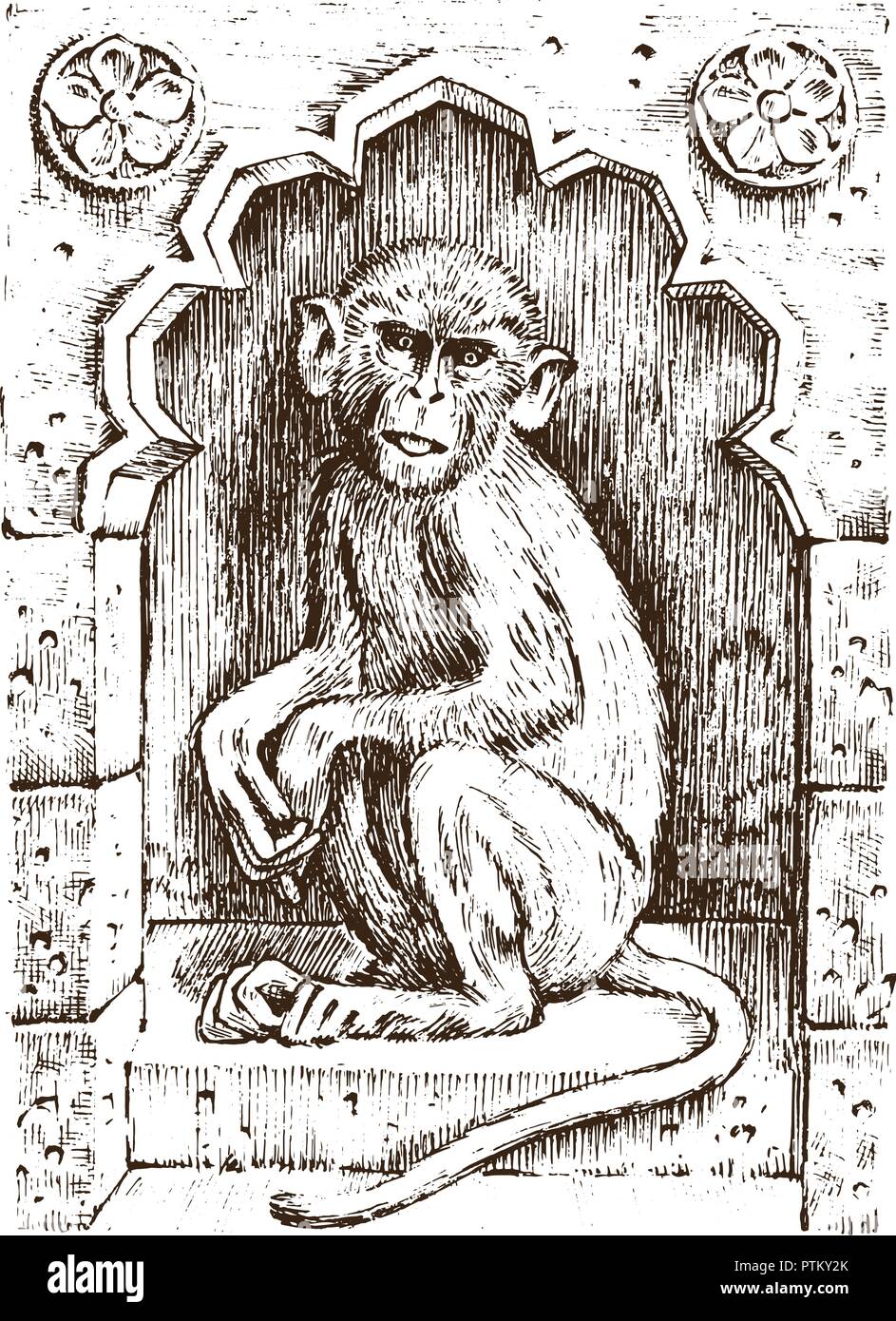 Cute Affe oder Vintage Primas. Hand gezeichnet, graviert wildes Tier. Zoologie afrikanische Symbol. Vector Illustration. Poster für Buch oder Website Stock Vektor