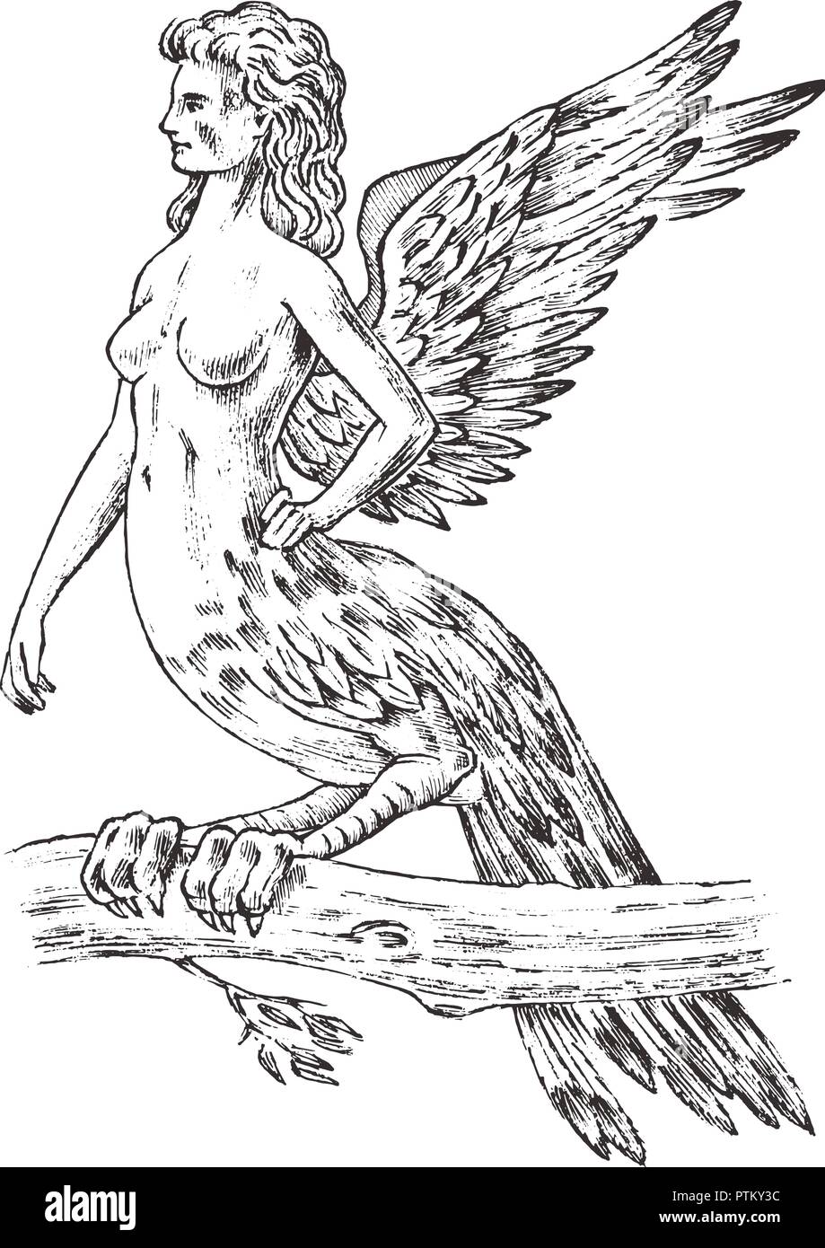 Antike Harpy. Frau Vogel Adler. Mythische griechische Monster. Mythologisches Tier. Fantastische Kreaturen in der alten Vintage Style. Graviert Hand gezeichnet alte Sk Stock Vektor Antike Harpy. Frau Vogel Adler. Mythische griechische Monster. Mythologisches Tier. Fantastische Kreaturen in der alten Vintage Style. Graviert Hand gezeichnet alte Sk Stock Vektor