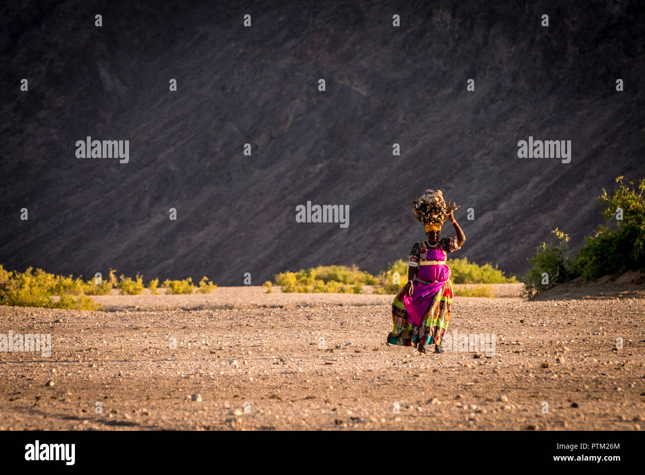 Eine Dame Wanderungen durch die Wüste zu ihrem Haus in Purros Durchführung eines Ballens von Holz in der entlegenen Provinz von Kaokaland in Namibia. Stockfoto