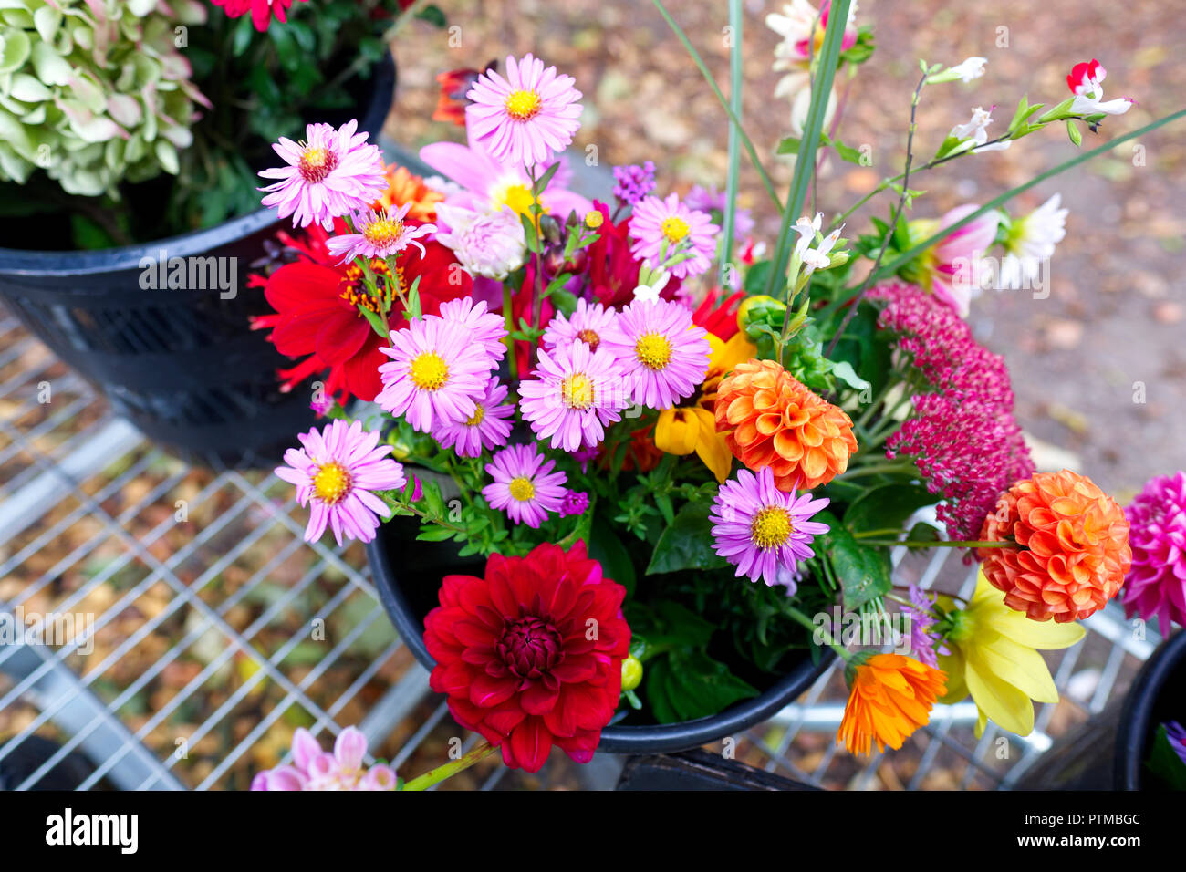 Frisch Blumen für den Verkauf am Palast des Bischofs in Wells, Somerset, UK cut Stockfoto