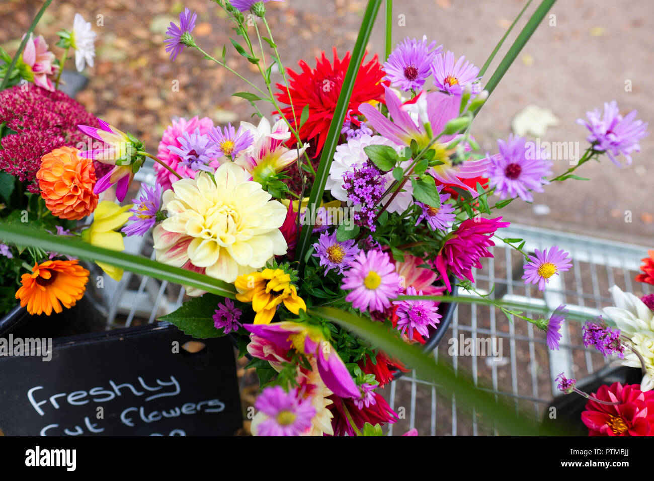 Frisch Blumen für den Verkauf am Palast des Bischofs in Wells, Somerset, UK cut Stockfoto