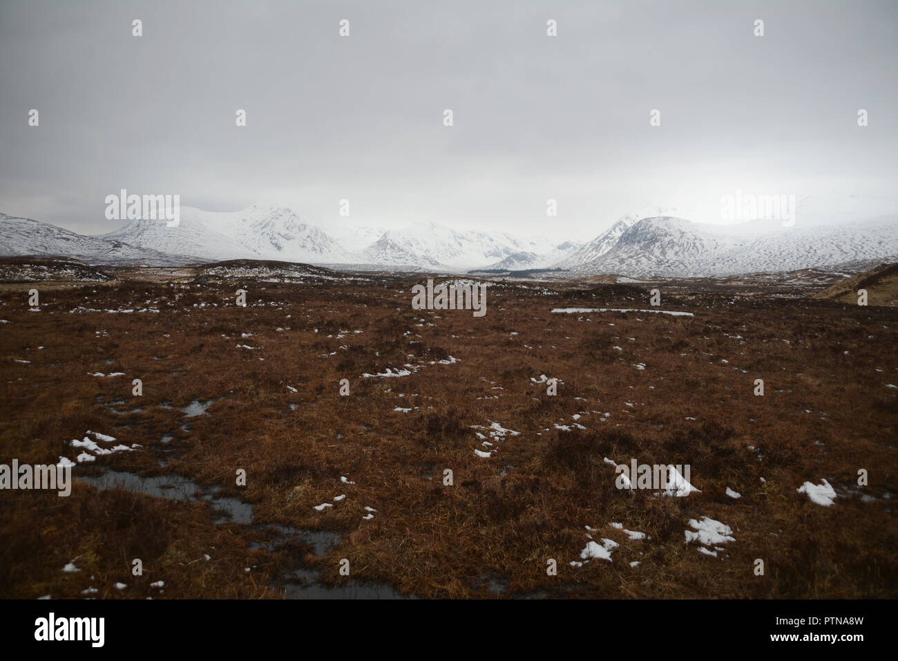 Die schneebedeckten Berge des Schwarzen Berg Bereich inmitten der sumpfigen Moorlandschaft von Rannoch Moor, Scottish Highlands, Schottland, Vereinigtes Königreich. Stockfoto