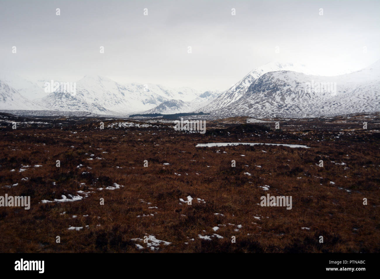 Die schneebedeckten Berge des Schwarzen Berg Bereich inmitten der sumpfigen Moorlandschaft von Rannoch Moor, Scottish Highlands, Schottland, Vereinigtes Königreich. Stockfoto