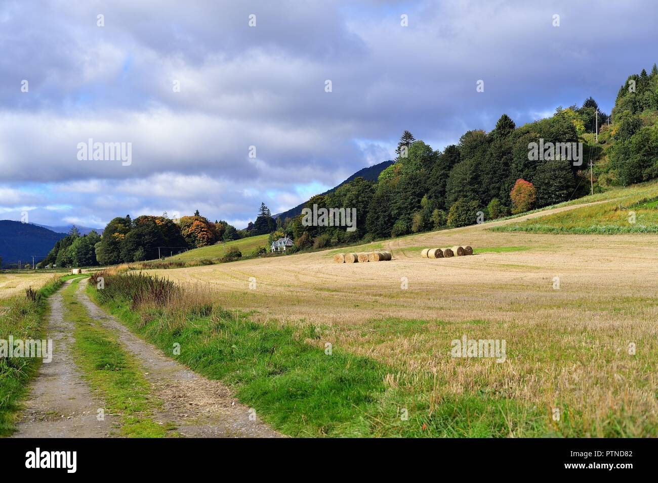 Weem, Schottland, Vereinigtes Königreich. Ballen Heu ruht in einem Bereich, in dem Land in der Nähe von Weem, nördlich von Edinburgh in Pershshire. Stockfoto