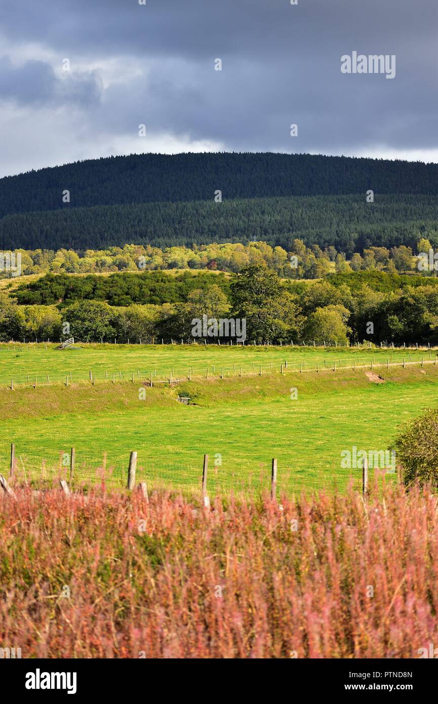 Broomhill, Schottland, Vereinigtes Königreich. Die Schönheit der hHghlands als Anfang Herbst siedelt sich in über Schottland. Stockfoto