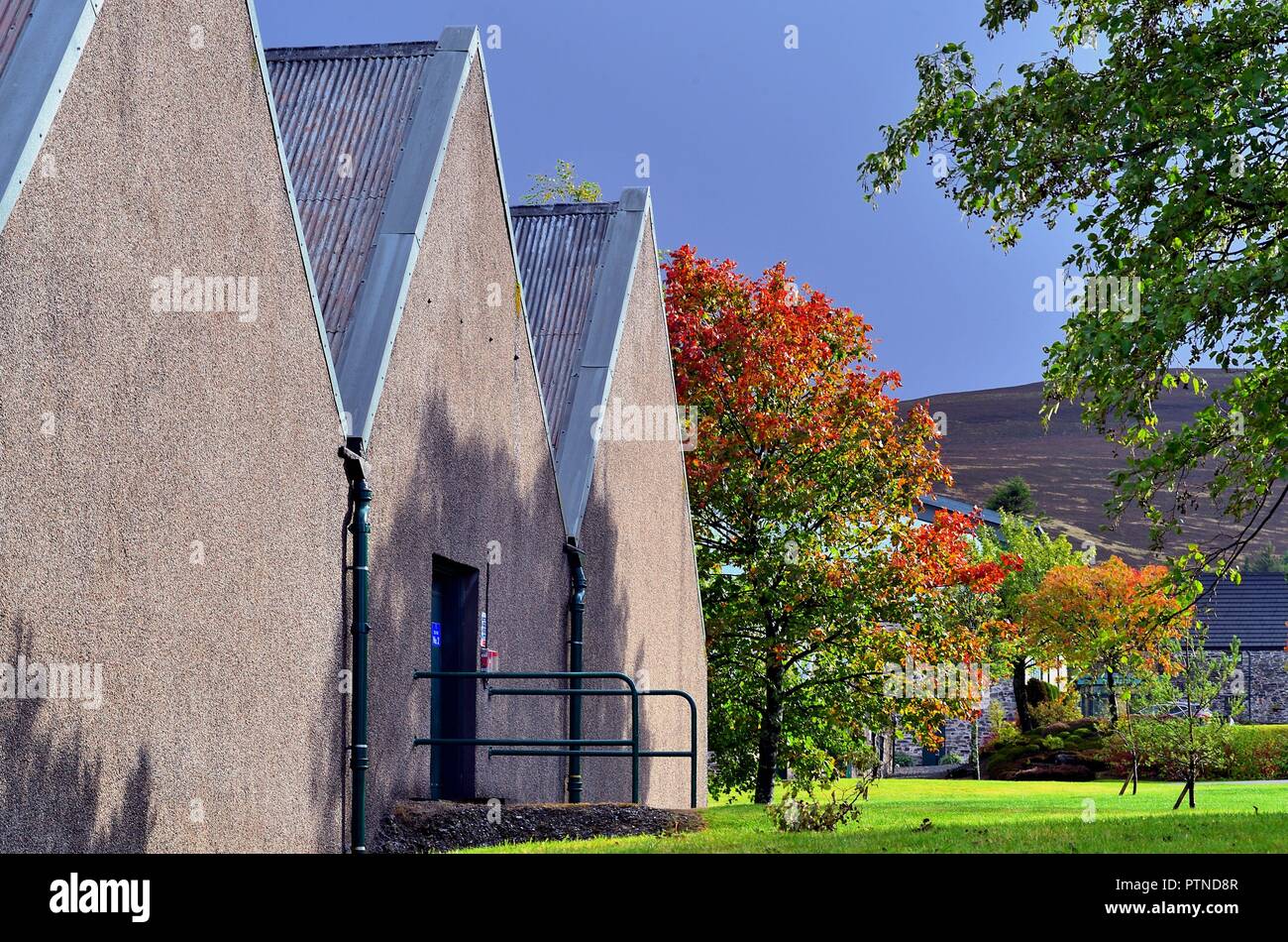 Ballindalloch, Schottland, Vereinigtes Königreich. Die Glenlivit Brennerei in den Highlands von Schottland. Stockfoto