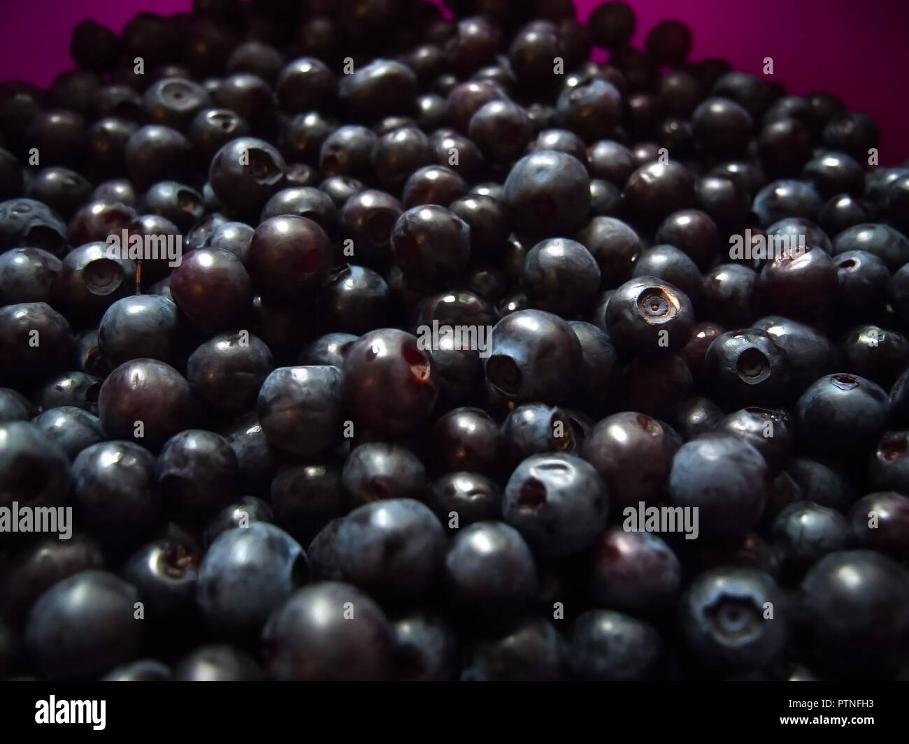 Nahaufnahme der gesunden Superfoods rohe, organische Blueberry, voll von Ernährung, Antioxidantien und Vitaminen Stockfoto