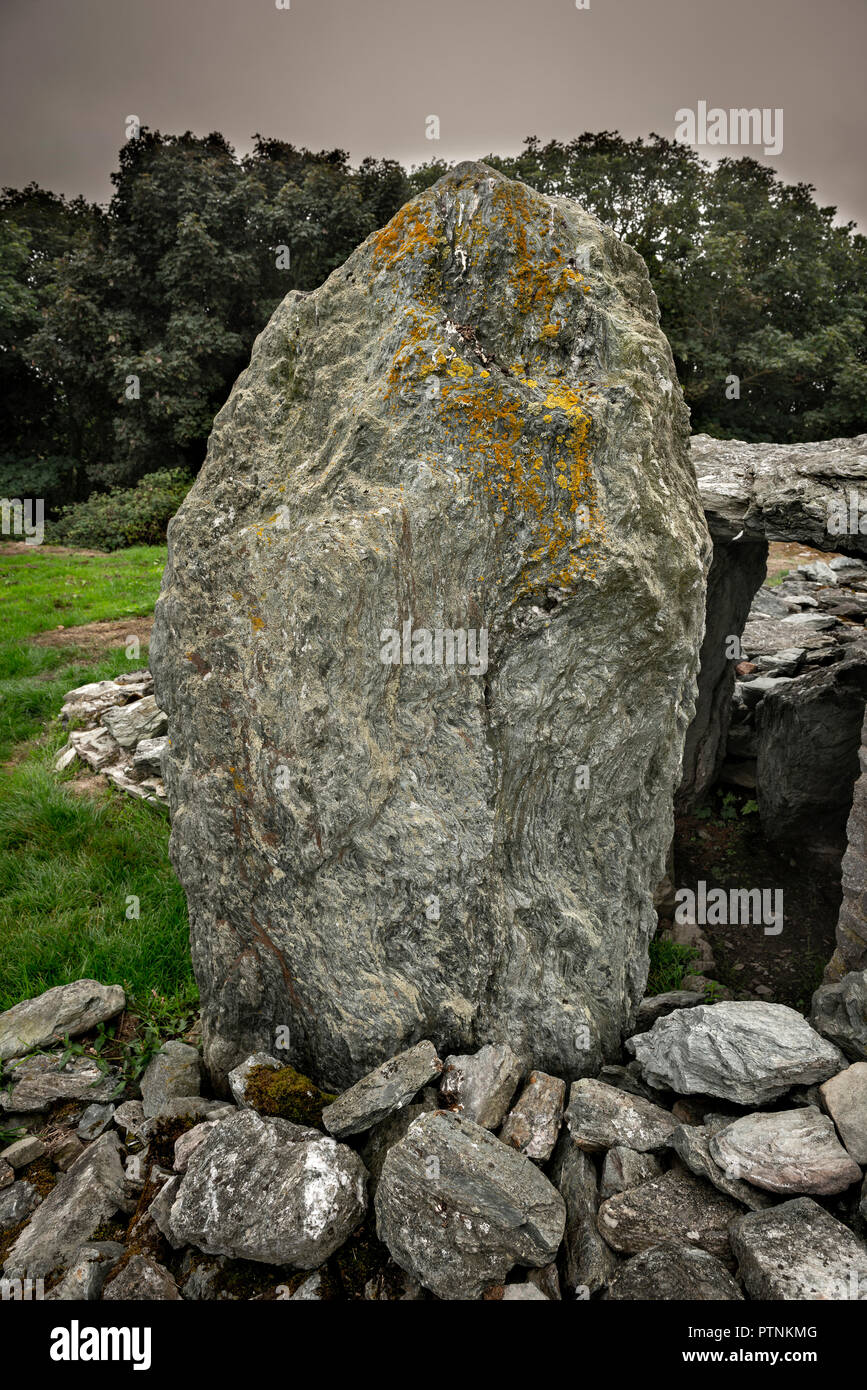 Trefignath neolithische Grabkammer, in der Nähe von Holyhead, Anglesey, Wales, Großbritannien Stockfoto