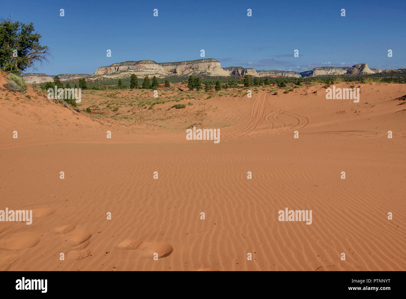 Sanddünen im Red Rock Canyon, Utah Stockfoto
