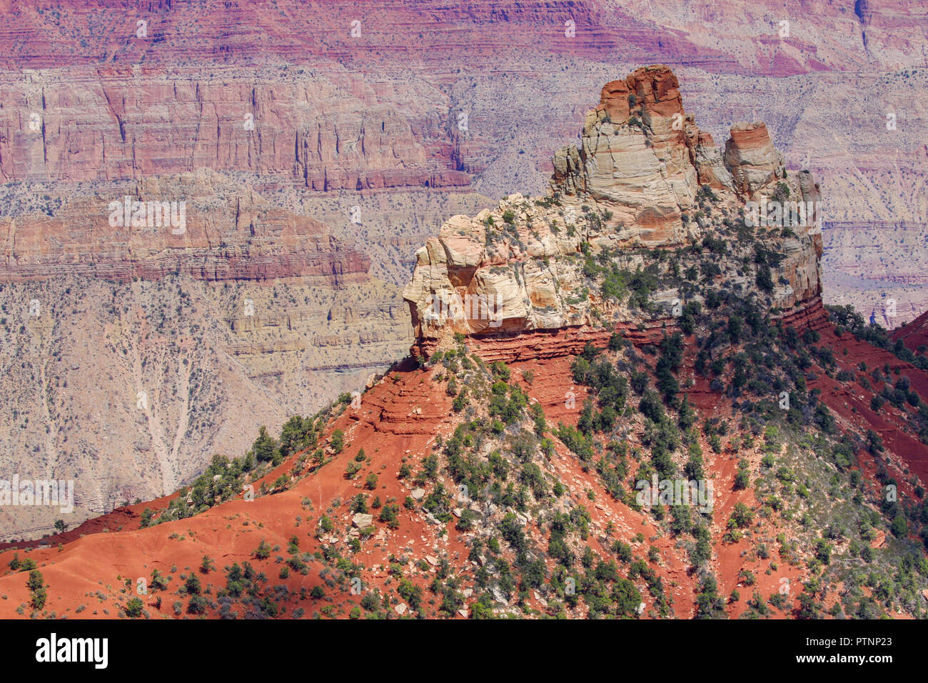 North Rim des Grand Canyon Stockfoto