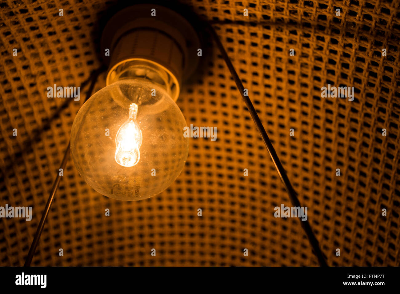 Photto der Glühlampe mit warmem Licht Stockfoto