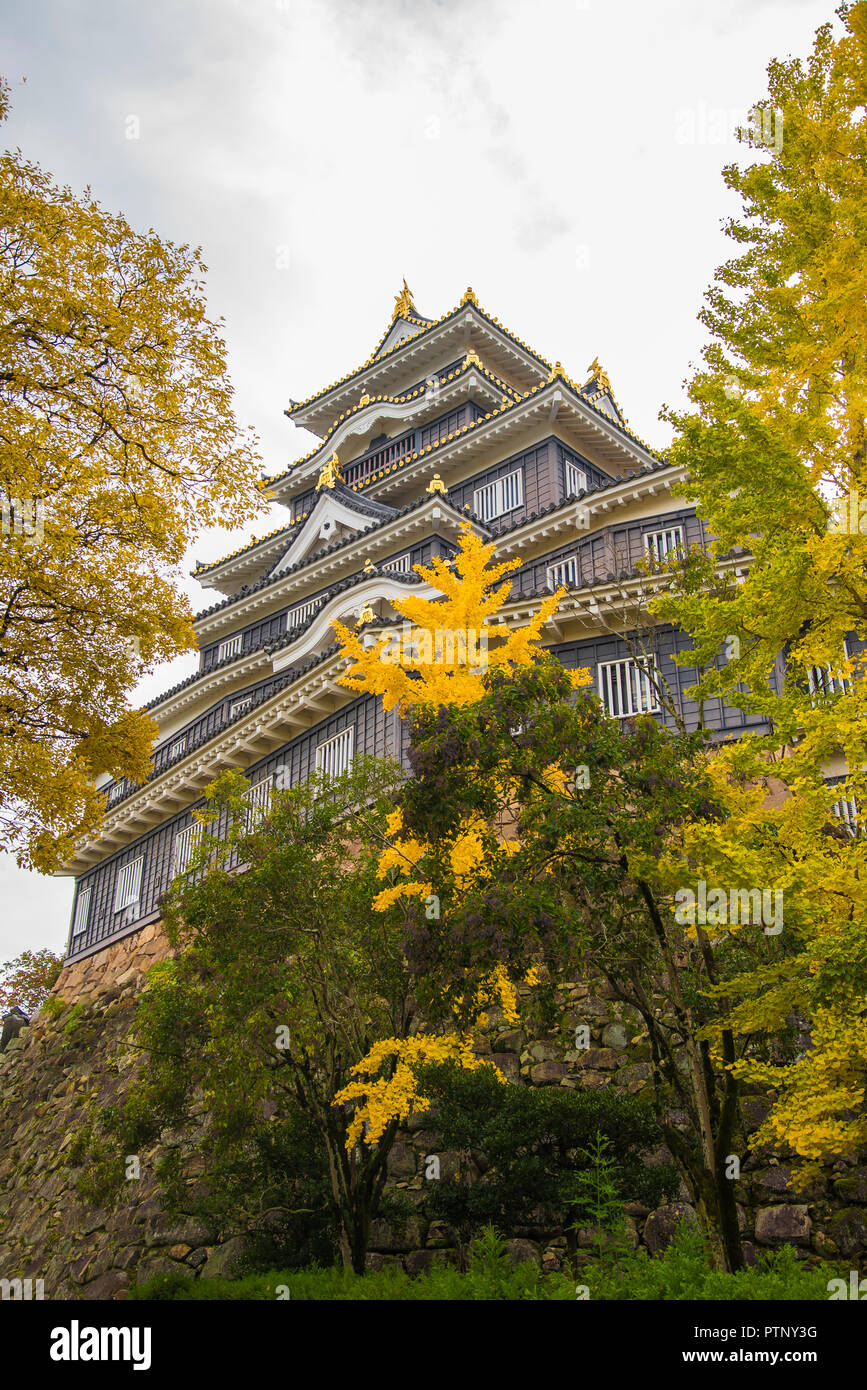 Okayama historische Schloss eine der berühmten Touristenattraktion in Okayama Präfektur, Japan Stockfoto