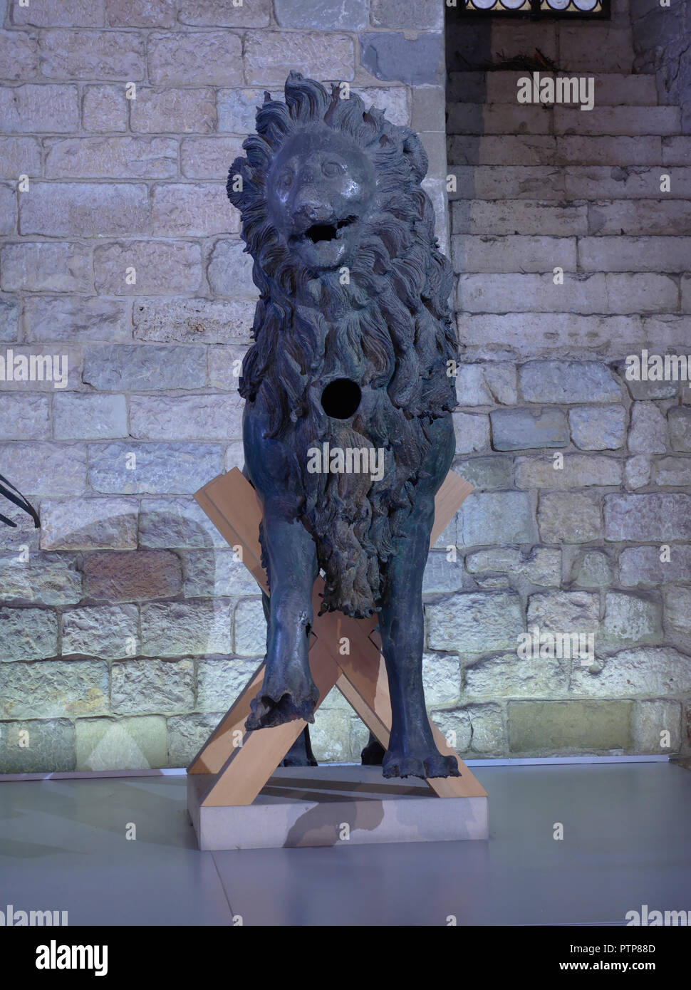 Perugia Umbrien Italien. Der Löwe Bronze Skulptur Symbol der Stadt Perugia im Palazzo dei Priori platziert. Stockfoto