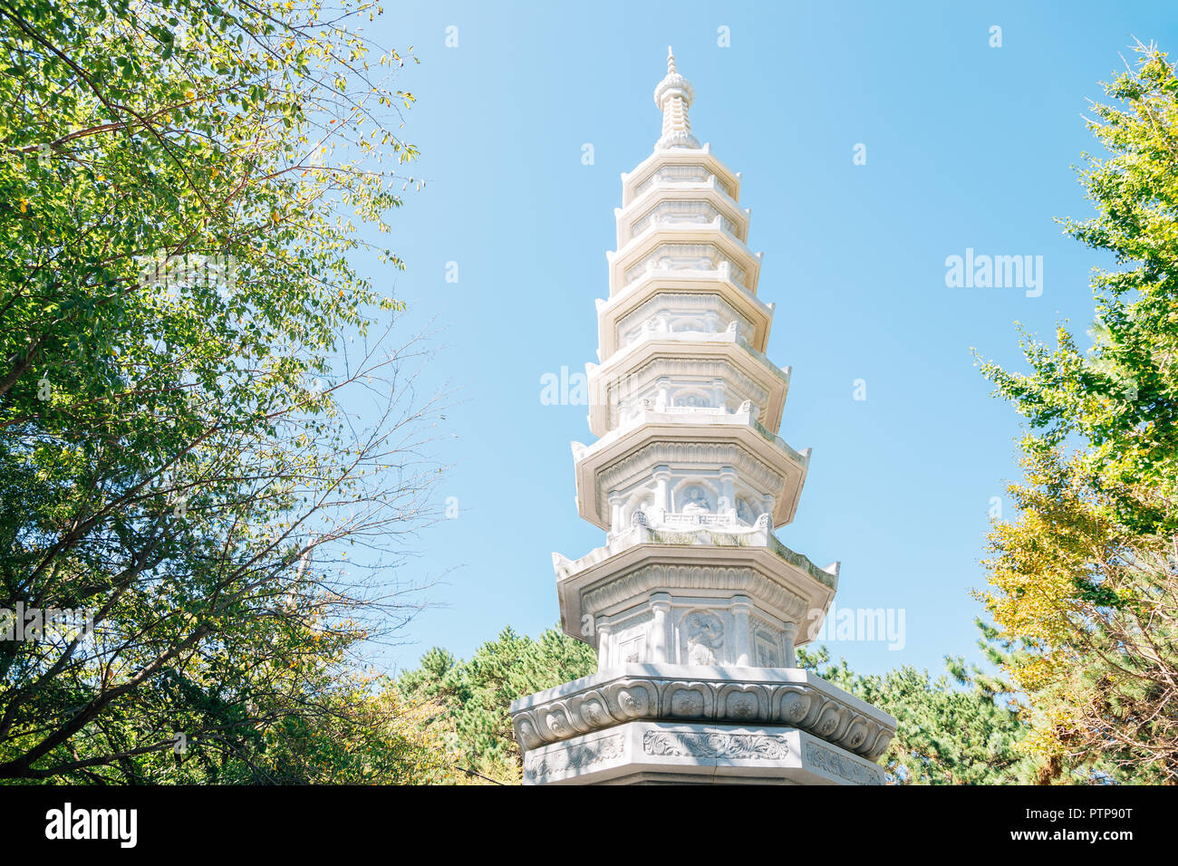 Steinernen Turm mit grünen Bäumen am Haedong Yonggungsa Tempel in Busan, Korea Stockfoto