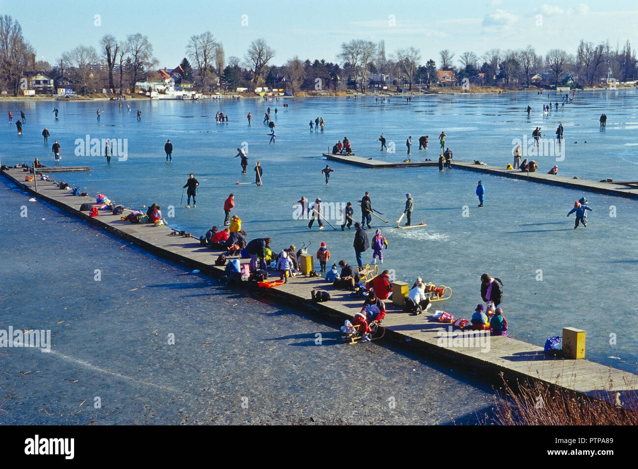 Wien, Alte Donau im Winter Stockfoto