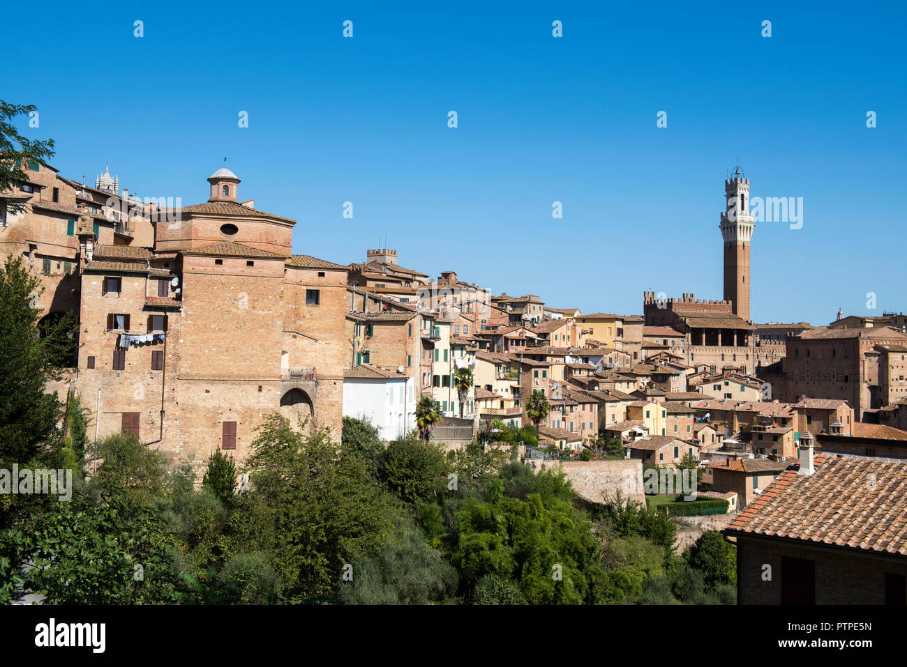 Sommer in der Stadt Siena, Toskana Italien Europa EU Stockfoto