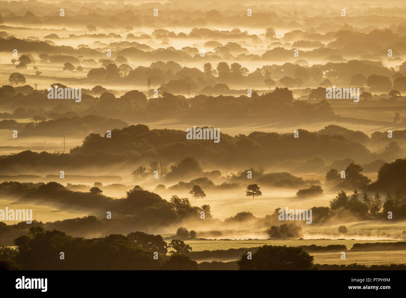 Sussex Weald in Nebel Stockfoto