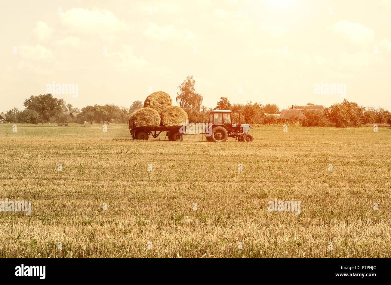 Landwirtschaft und Traktor sammelt Strohballen auf dem Bauernhof Anlage Stockfoto