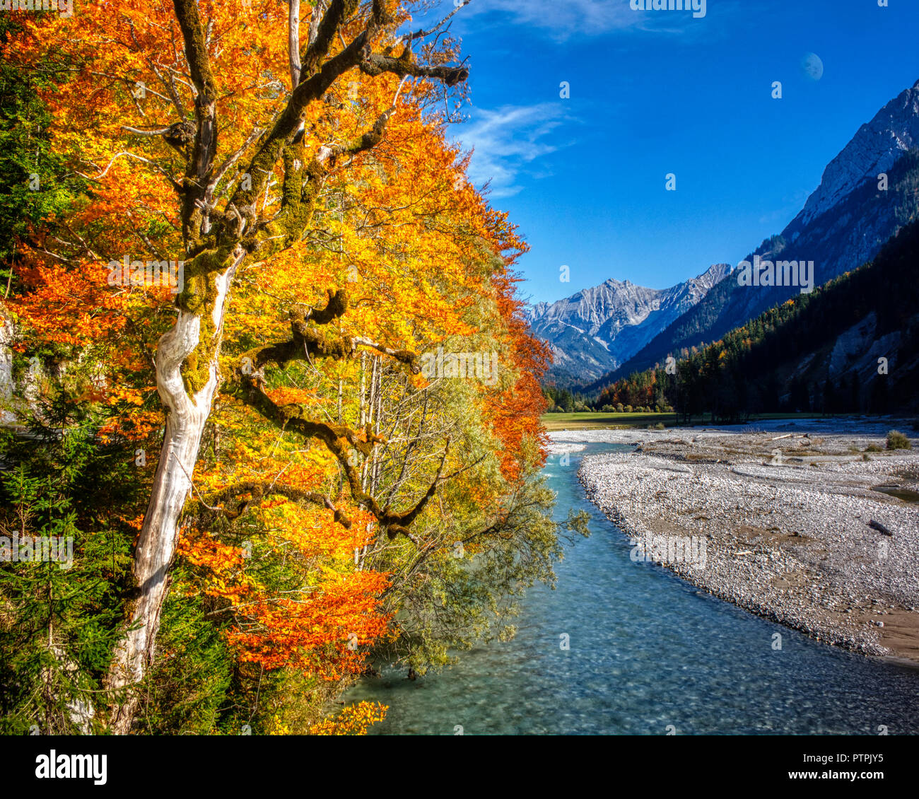 AT - Tirol: Rissbach Autuimn Wälder entlang, die zu den Großen Ahornboden im Ger (HDR-Bild) Stockfoto