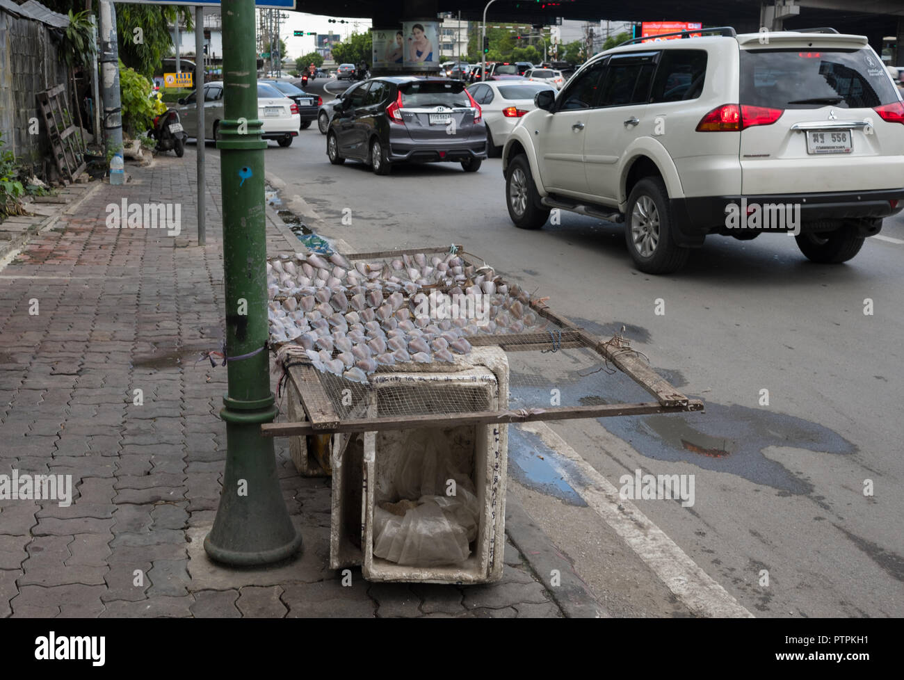 Fische trocknen draußen auf dem Bürgersteig auf der Rama IV Road, Bangkok, Thailand Stockfoto