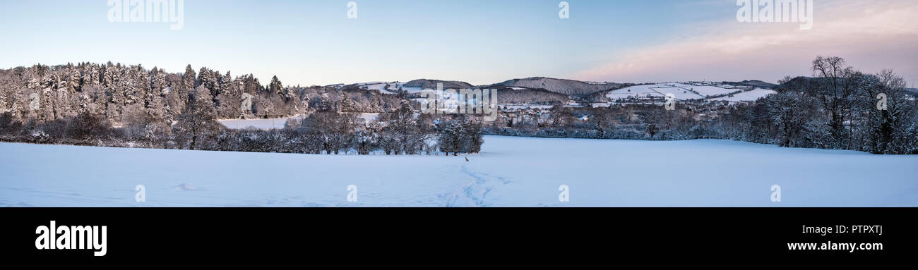 Presteigne, Powys, Wales, UK. Schneebedeckte Bäume und Felder im midwinter Stockfoto