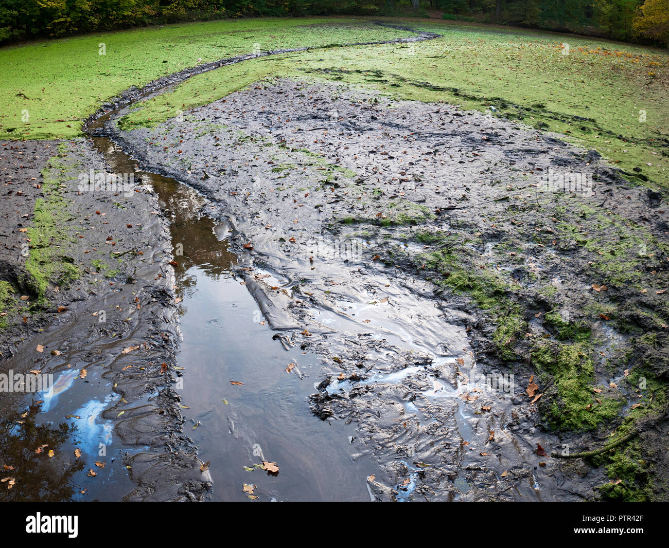 Leeren Teich mit Öl und Schlamm verschmutzt Stockfotografie Alamy