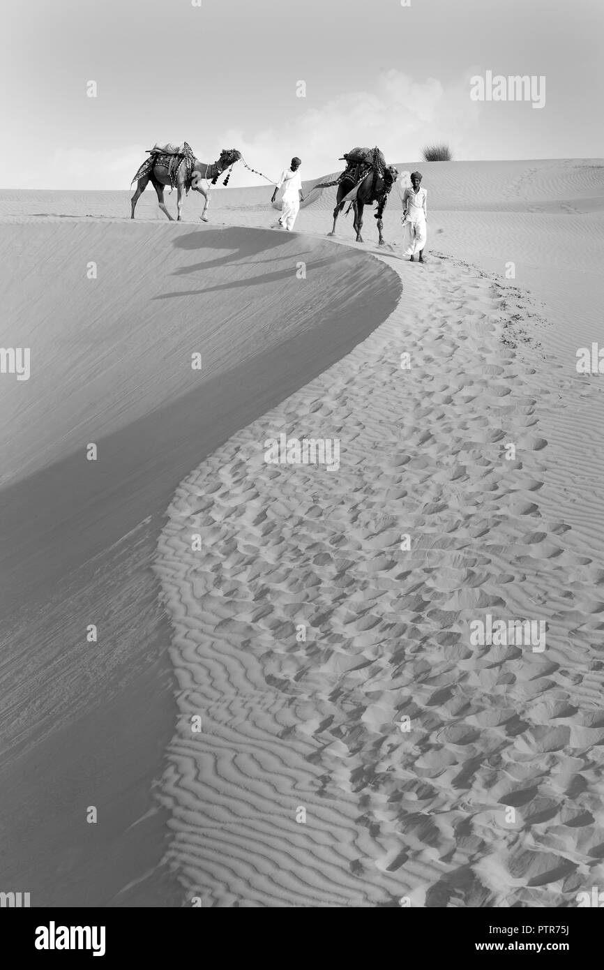 Rajasthani Männer mit Kamelen in der Wüste. Stockfoto