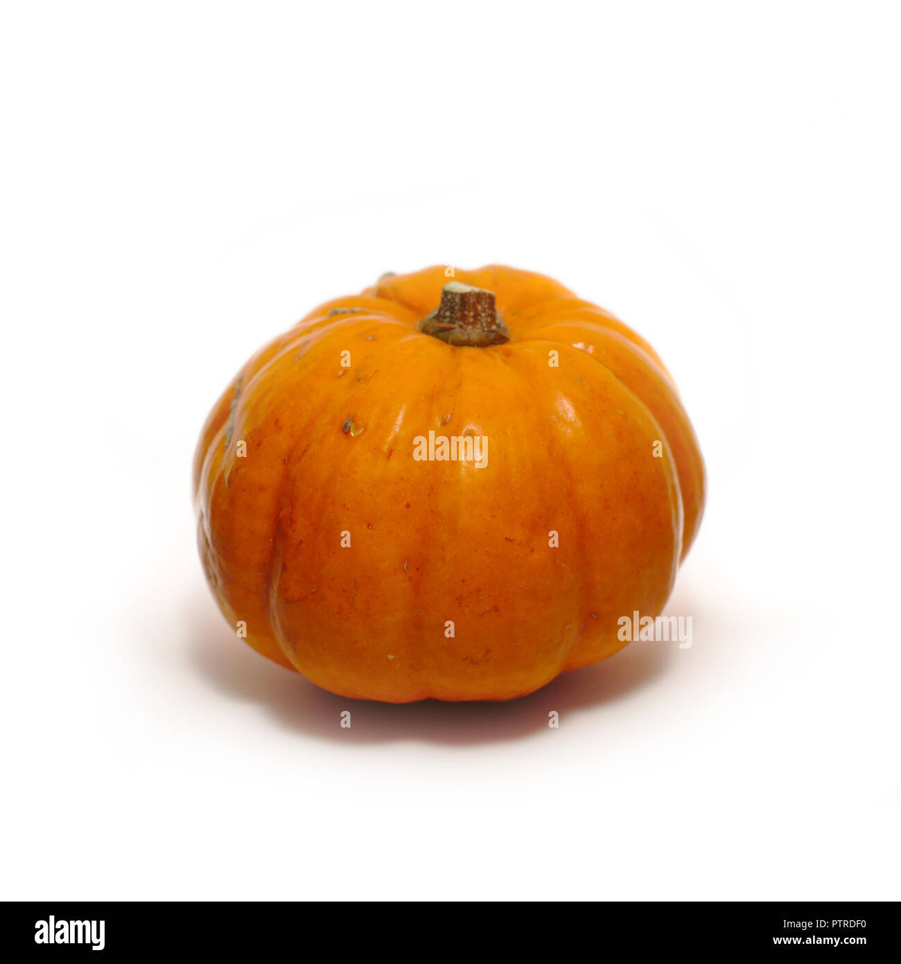 Kürbis auf weißem Hintergrund Stockfoto